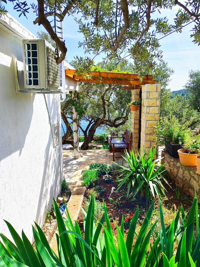 Weekend House Olive Garden Villa Donje Selo na Solti Luaran gambar